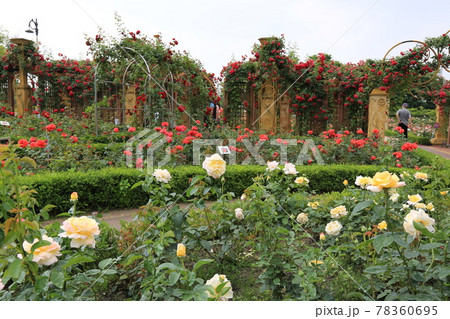 東京 花 ガーデン 78360695