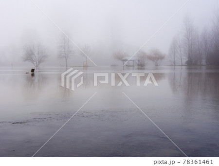 Snoqualmie river floods the park in Duvall, Washington 78361461