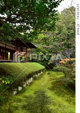 桂春院の風景 桂春院の風景 78361825
