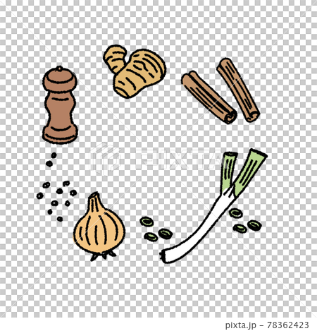 胡椒、姜、肉桂、蔥和洋蔥的插圖 胡椒、姜、肉桂、蔥和洋蔥的插圖 78362423