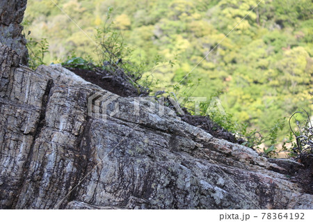 舘山寺の西行岩 穴場 舘山寺の西行岩 穴場 78364192