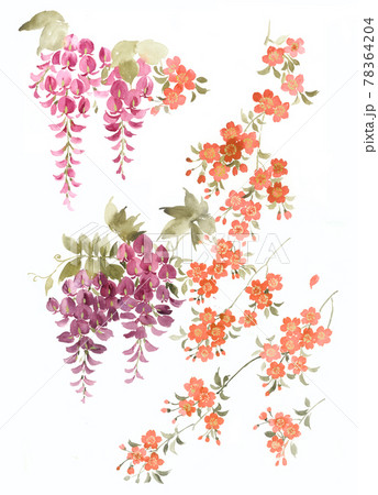 透明水彩 水彩画 花 78364204