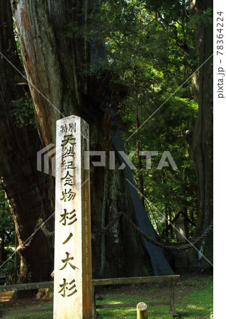 杉の大杉の石碑 78364224