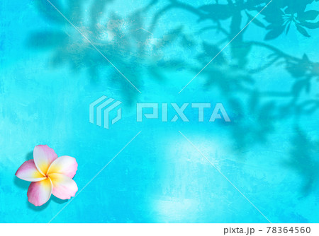プルメリアの花と葉の影 夏色のトロピカルイメージのイラスト素材