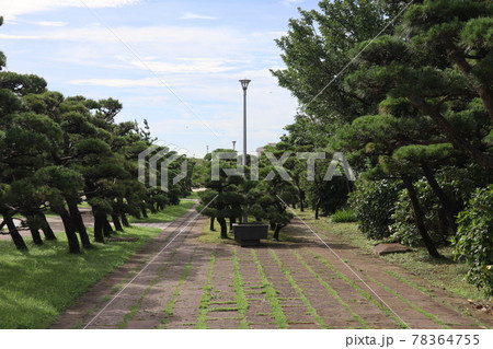 城ケ島公園（神奈川県三浦市） 78364755