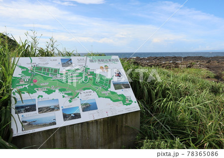 城ケ島の海岸(神奈川県三浦市) 城ケ島の海岸(神奈川県三浦市) 78365086