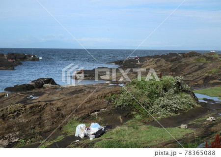 城ケ島の海岸(神奈川県三浦市) 城ケ島の海岸(神奈川県三浦市) 78365088