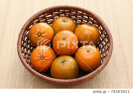 沖縄県産タンカン 78365621