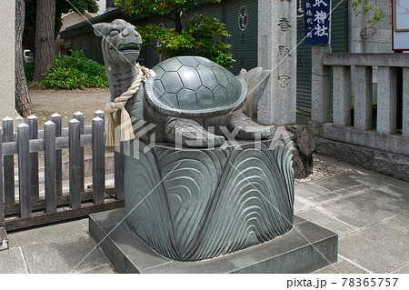 東京都　葛飾区亀有　香取神社（かとりじんじゃ） 78365757