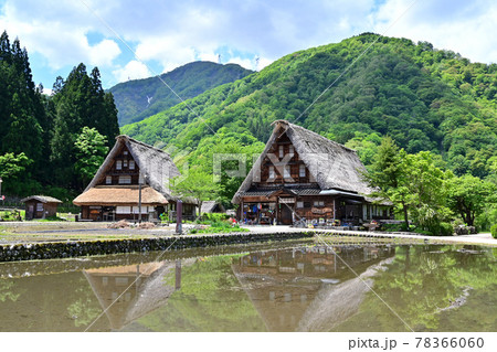 五箇山(菅沼集落)　5月・田植え前 78366060