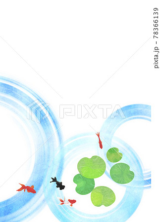 暑中見舞い 金魚 波紋 はがき比率のイラスト素材