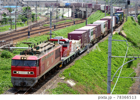 北方貨物線を行くEF510-4コンテナ貨物列車 78366513