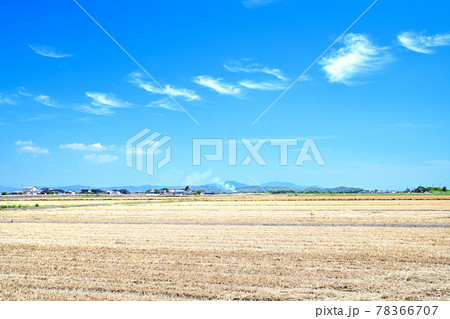 麦秋の筑後平野 78366707