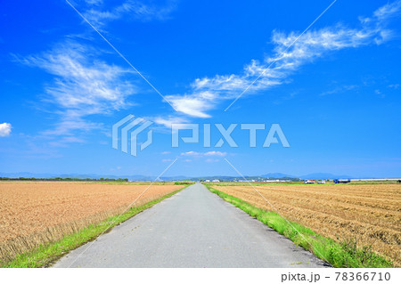 麦秋の筑後平野 麦秋の筑後平野 78366710