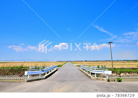 麦秋の筑後平野 78366729