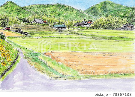 田舎の初夏 78367138