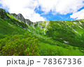 夏の千畳敷カール 78367336