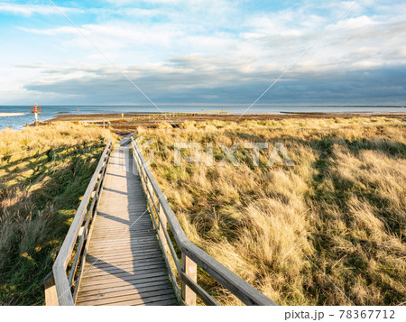 Nature boardwalk near Darer Ort, north of island Dar, Mecklenburg-Western Pommerania, Germany Nature boardwalk near Darer Ort, north of island Dar, Mecklenburg-Western Pommerania, Germany 78367712