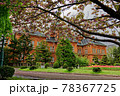 赤レンガ　北海道庁旧本庁舎 78367725