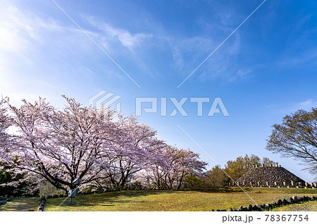 鳥取県米子市 春の伯耆古代の丘公園の帆立貝式古墳 鳥取県米子市 春の伯耆古代の丘公園の帆立貝式古墳 78367754