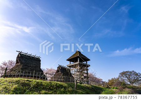 鳥取県米子市 春の伯耆古代の丘公園の帆立貝式古墳と復元の高床建物 鳥取県米子市 春の伯耆古代の丘公園の帆立貝式古墳と復元の高床建物 78367755
