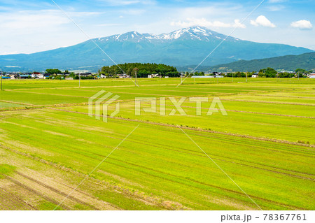 初夏の鳥海山（出羽富士）と休耕田　山形県酒田市 78367761