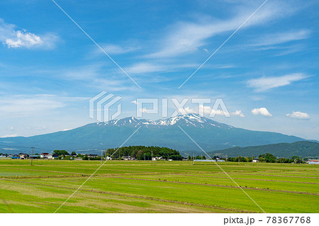 初夏の鳥海山(出羽富士)と休耕田 山形県酒田市 初夏の鳥海山(出羽富士)と休耕田 山形県酒田市 78367768