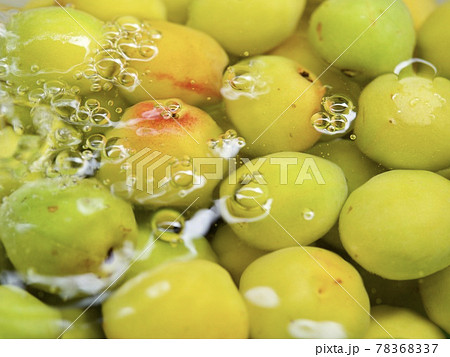 梅ジュース作り　梅シロップ作り　手作り　梅　南高梅 78368337