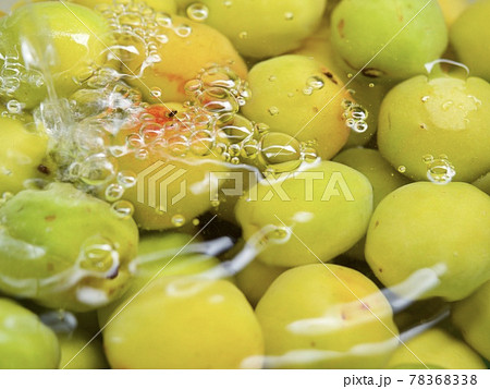 梅を水で洗う　イメージ　梅　南高梅　梅ジュース 78368338