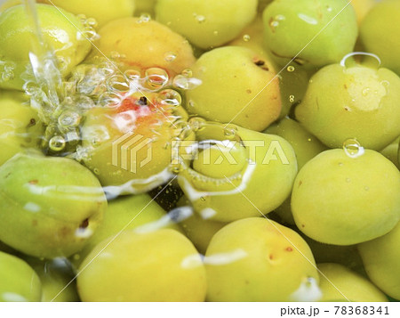 梅 洗浄 梅 洗浄 78368341