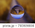 釧路湿原の遊歩道と青空 78369808
