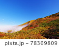 紅葉と雲海の白山 78369809