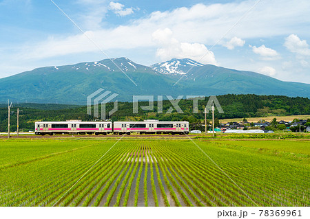 初夏の水田地帯を走る列車と鳥海山　山形県遊佐町 78369961