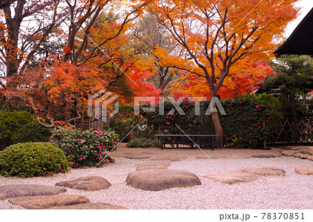 紅葉の庭 78370851