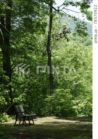 四季の散歩　夏　たじま高原植物園 78370922