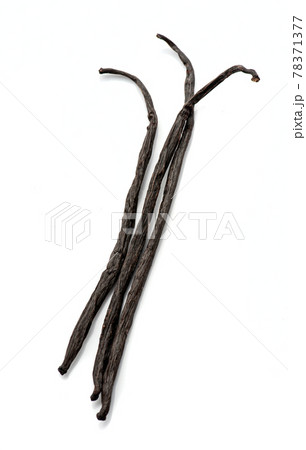 Vanilla stick on white backgrounds Vanilla stick on white backgrounds 78371377