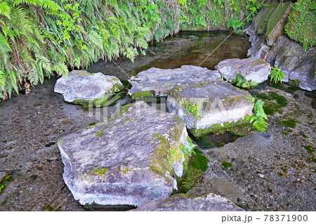 【普現堂湧水源】 鹿児島県志布志市有明町蓬原 78371900