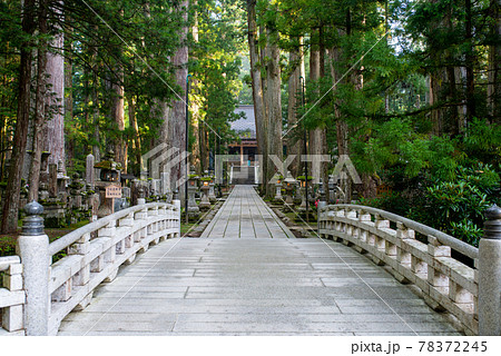 世界遺産高野山の奥の院 世界遺産高野山の奥の院 78372245