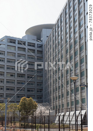 東京拘置所 東京拘置所 78373029