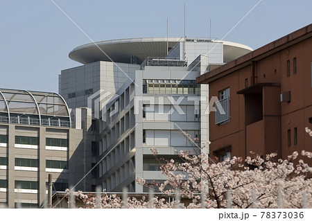 東京拘置所 東京拘置所 78373036