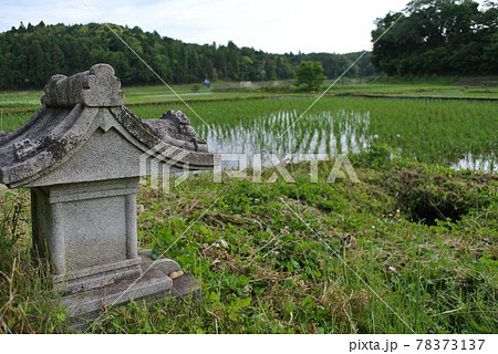 田植えの終わった田んぼの脇に建つ、田の神様 78373137