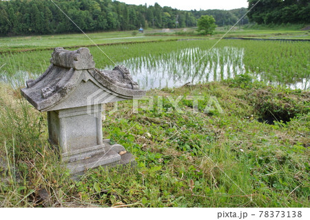 田植えの終わった田んぼの脇に建つ、田の神様 78373138