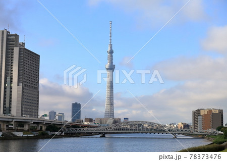スカイツリーと白髭橋 スカイツリーと白髭橋 78373476