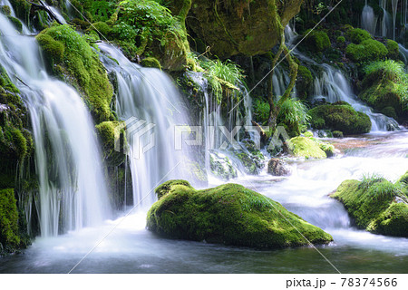 元滝伏流水 78374566