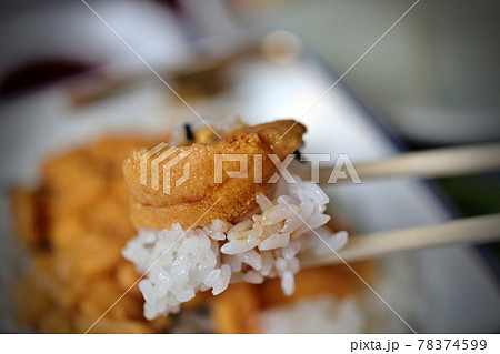 青森県六ケ所村泊地区の生ウニ丼 青森県六ケ所村泊地区の生ウニ丼 78374599