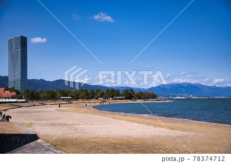 滋賀県大津　和田の浜　河津桜2021 78374712