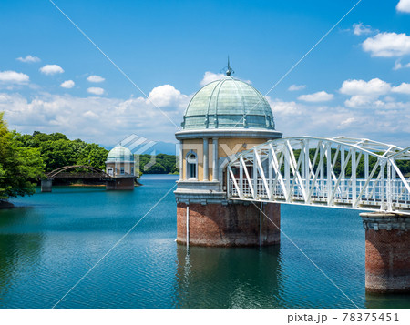 初夏の村山貯水池(多摩湖)の風景 初夏の村山貯水池(多摩湖)の風景 78375451