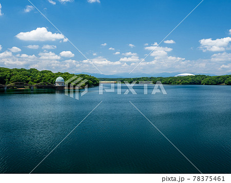 初夏の村山貯水池(多摩湖)の風景 初夏の村山貯水池(多摩湖)の風景 78375461