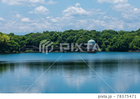 初夏の村山貯水池(多摩湖)の風景 初夏の村山貯水池(多摩湖)の風景 78375471