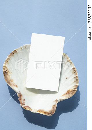 名刺 紙 金銭 78375555